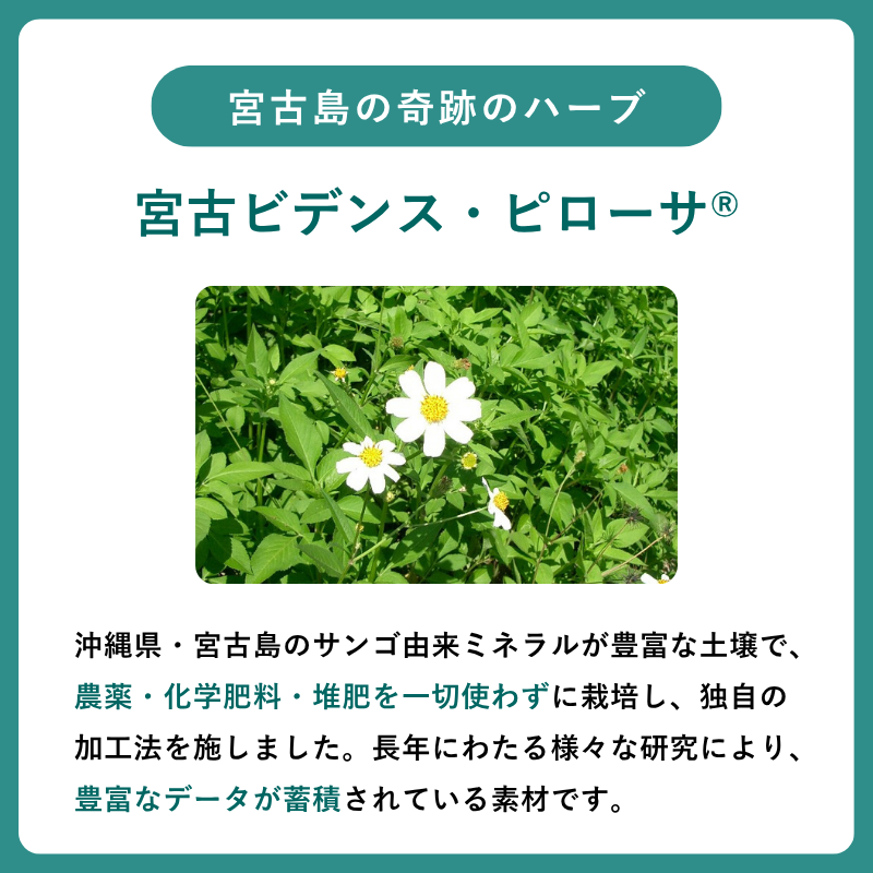 イムタス BP (タブレット)