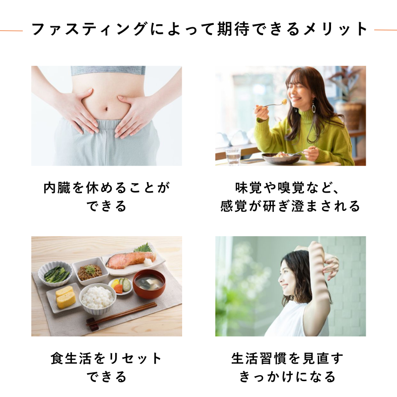 【定期便】ファステン クラブ