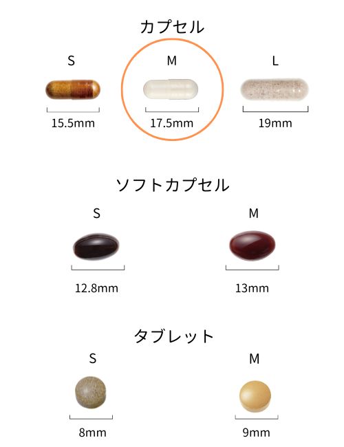 【定期便】ベラエータ