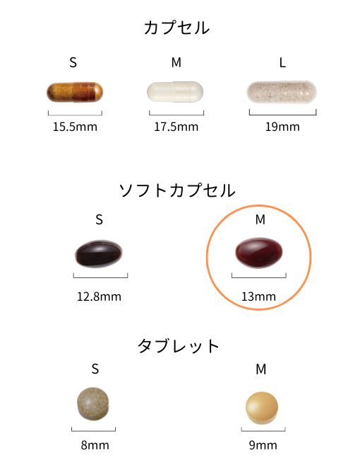 【定期便】リテスタⅡF