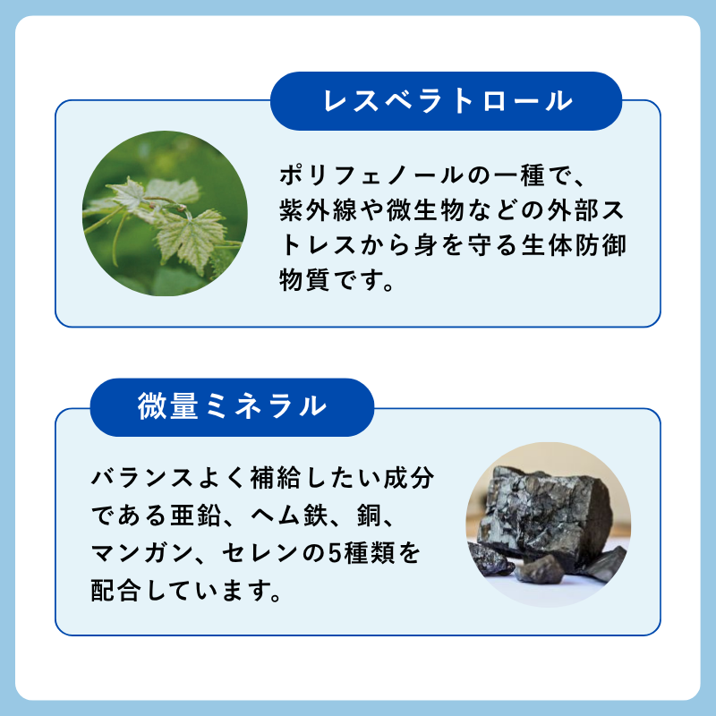 ハイドロ・プラス トライアルサイズ(12粒)